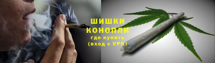 Конопля Ganja  Плавск 